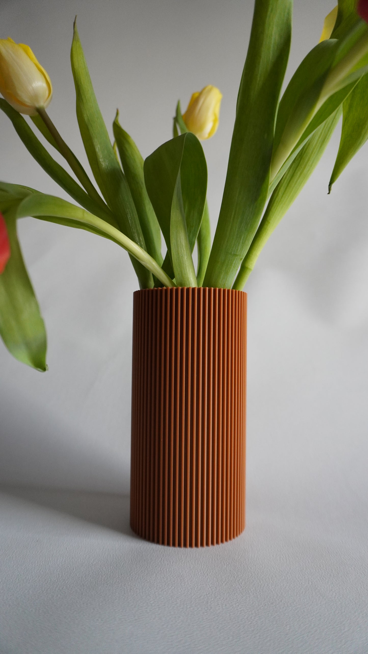 Tube Vase kaufen – Stilvolle & praktische Blumenvase