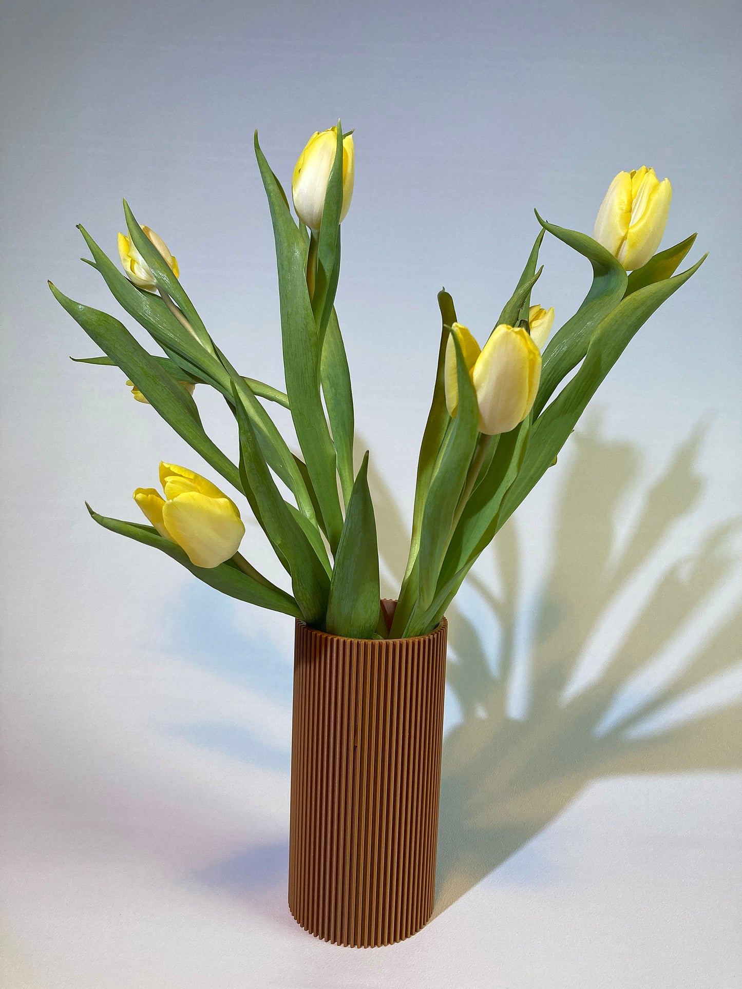 Tube Vase kaufen – Stilvolle & praktische Blumenvase
